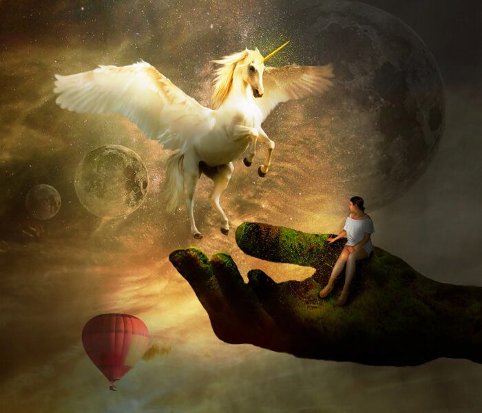 Enhörningen – Hjärtats väktare