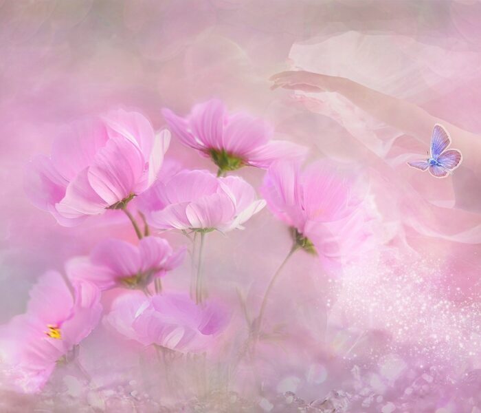 Themis – Balans, sanning och din inre väg