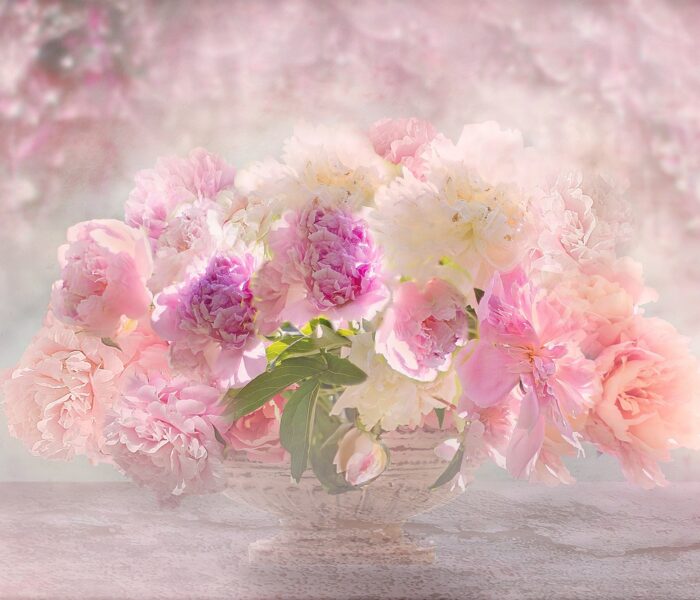 Lyssna till ditt hjärta – Afrodite och självkärlekens sanning